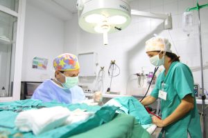 Serveis Veterinaris Mataró
